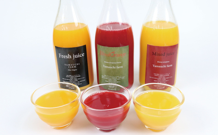 みかんジュース 720ml ×3本 YAMAUCHI FARM 「ミックスジュース」 ストレート ジュース【H018-084002】
