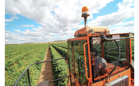 【VIVA LA COFFEE】ふるさと納税ブレンドセット（粉）300gx3種類