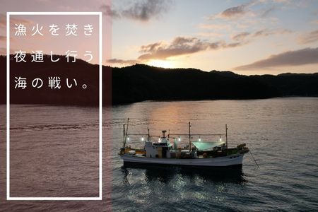 【高級白いか丸ごと 100g×3杯セット】ぷりぷり甘い高級白いかを朝どれ鮮度でお送りします! いか イカ 白いか ケンサキイカ 刺身 CAS CAS冷凍 父の日 母の日 バーベキュー ギフト