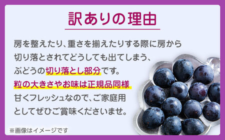 【先行予約】 訳あり ピオーネ ぶどう 切り落とし 約1kg  【合同会社 社方園】ピオーネ切り落とし 1kg ぶどう 季節限定 葡萄 [ZBZ007]