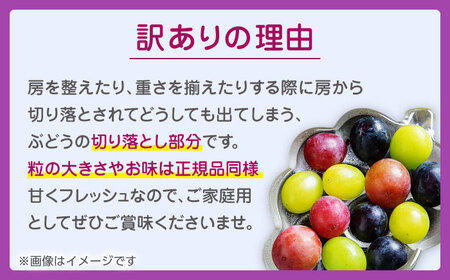 【先行予約】 訳あり ぶどう3種 食べ比べ 切り落とし 計約1kg  【合同会社 社方園】ぶどう詰め合わせ  セット 熊本 シャインマスカット ピオーネ クイーンニーナ [ZBZ009]