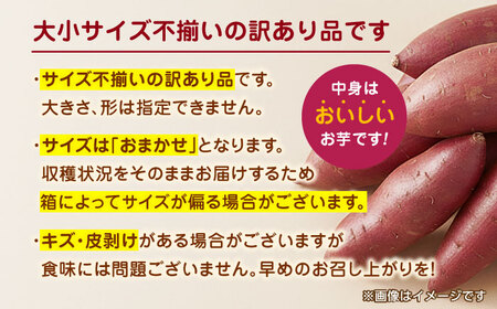 紅はるかorシルクスイート蜜芋10kg サツマイモさつまいも国産 ZCN001