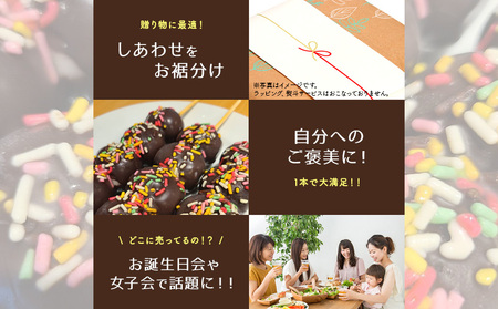 ジャンボチョコ団子20本セット(冷凍)・F024-23