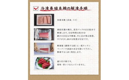 本マグロ（養殖）トロ＆赤身セット 3kg 【１ヶ月以内に順次発送)】/ 高級 クロマグロ  中トロ 中とろ まぐろ マグロ 鮪 刺身 赤身 柵 じゃばらまぐろ 本マグロ 本鮪【nks112B】