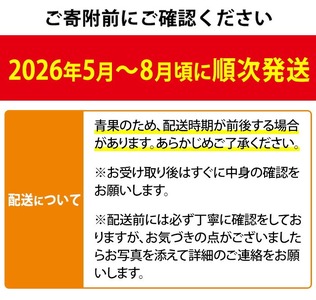パッションフルーツ 1.2kg以上  期間限定 ゆきちゃん農園 0105302a パッションフルーツ 果物 くだもの