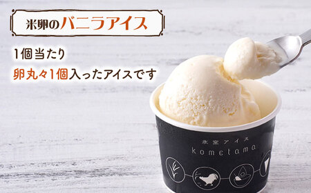 【こだわり濃厚米卵と地元特産フルーツ使用！】こめたまバラエティセット３種９個入り デザート スイーツ お菓子 アイス ギフト  【氷窯アイス こめたま】[GF02]