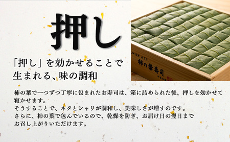 柿の葉寿司 5種20個入り 【冷凍】 | 鯖 鮭 あなご 寿司