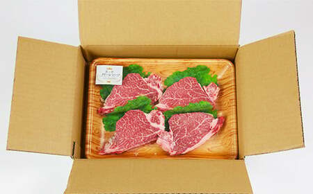 豊の香 クイーンビーフ ヒレステーキ 480g （120g×4枚） 国産 黒毛和牛 経産牛 お楽しみ 牛肉 お肉 人気 九州 ＜150-001＞