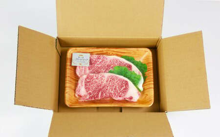 豊の香 クイーンビーフ ロースステーキ 360g （180g×2枚） 国産 黒毛和牛 経産牛 お楽しみ 牛肉 お肉 人気 九州 ＜150-002＞