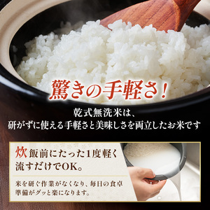 最短出荷 2日から7日以内に発送 令和7年 無洗米 コシヒカリ 5kg 令和7年産 米 お米 精米 白米 単一原料米 ブランド米 早場米 こめ コメ ごはん 5キロ 送料無料 お米マイスター 選定 千葉産 千葉市
