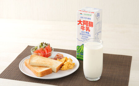 大阿蘇 牛乳 1L 紙パック 6本入 合計6L ミルク 成分無調整 