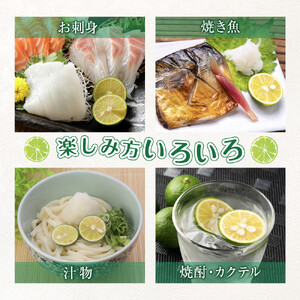 【期間限定】露地すだち約3kg（1箱約1kg×3箱）