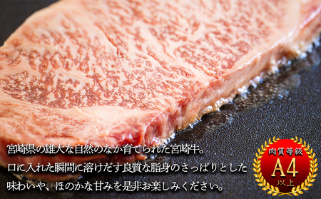 宮崎牛 厚切り ロース ステーキ 300g [日本ハムマーケティング 宮崎県 美郷町 31bd0021]