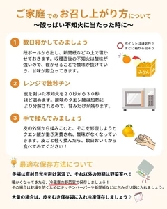 不知火 ( しらぬい ） 3kg 家庭用 (大好きしらぬい)　/ デコポン 甘い 和歌山 有田 柑橘 産地直送 農家直送 手選果 ※2027年2月中旬～3月下旬に順次発送予定  【nkh010-c-3A】