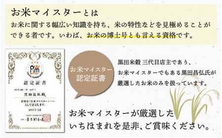 令和7年産 いちほまれ 10kg（5kg × 2袋）