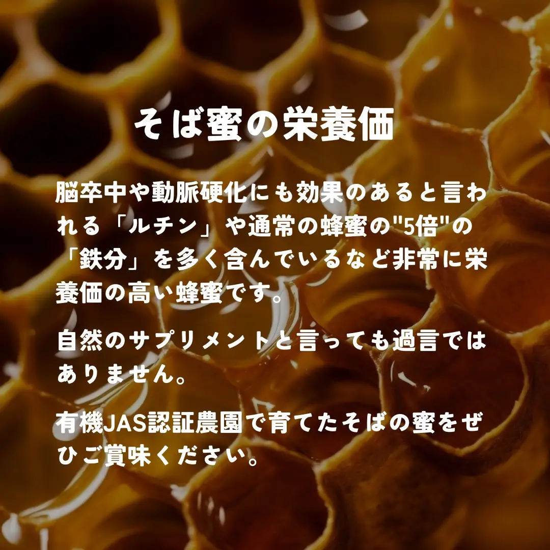 食べるサプリメントそば蜜 500g×1本 そばみつ イチカラ畑｜はちみつ