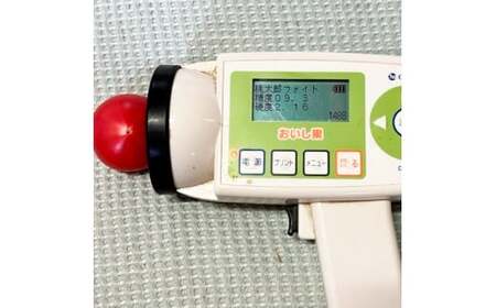 【先行予約】糖度9度以上 フルーツトマト しんちゃんトマト 約1.5kg （小～大玉サイズ10～20個：750g×2箱） 〈2027年1月〜発送〉トマト 高糖度 高知県産 ふるーつとまと 野菜 やさい 料理 サラダ マリネ 甘味 酸味 食品 食べ物 リコピン おいしい お取り寄せ【しんちゃんトマト】[BQCG003]