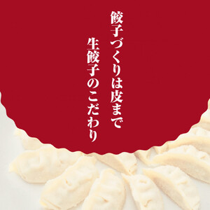 【大阪名物】大阪ふくちぁんスタミナ餃子 冷凍生餃子 288個 ［36個入×8セット］