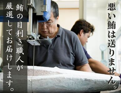 【全4回定期便】中とろ づくし A4ランク M005-T06 冷凍 マグロ 定期便