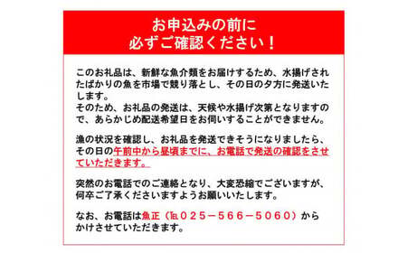 日本海直送 旬の鮮魚詰め合せ【魚種6種程度】鮮魚ボックス 魚のプロが選んだ厳選魚 新潟 糸魚川 能生漁港から朝獲れ新鮮な魚をお届け 生 (国産 天然 海鮮 お刺身 魚介類セット 鮮魚BOX 便利 簡単 お手軽 高級) 魚正 