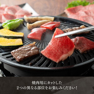 【令和8年7月発送】宮崎牛赤身(ウデorモモ)霜降り焼肉2種400g【肉 牛肉 牛 国産 宮崎県産 黒毛和牛 牛 和牛 焼肉 牛 やきにく BBQ 4等級  A4ランク うで モモ 肩ロース ロース 】