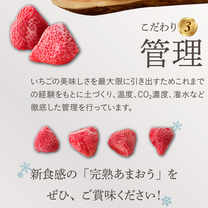 旬のおいしさそのまま！池田農園の特殊冷凍あまおう1.5kg_池田農園 特殊 冷凍 完熟 あまおう 1.5kg  糖度 酸度 バランス 旬 おいしさ そのまま アートロックフリーザー 急速冷凍 サクサク 食感 福岡エコ農産物認定 こだわり 管理 真空パック デザート 果物 いちご グルメ お取り寄せ 福岡県 久留米市 送料無料  〔Fi213〕