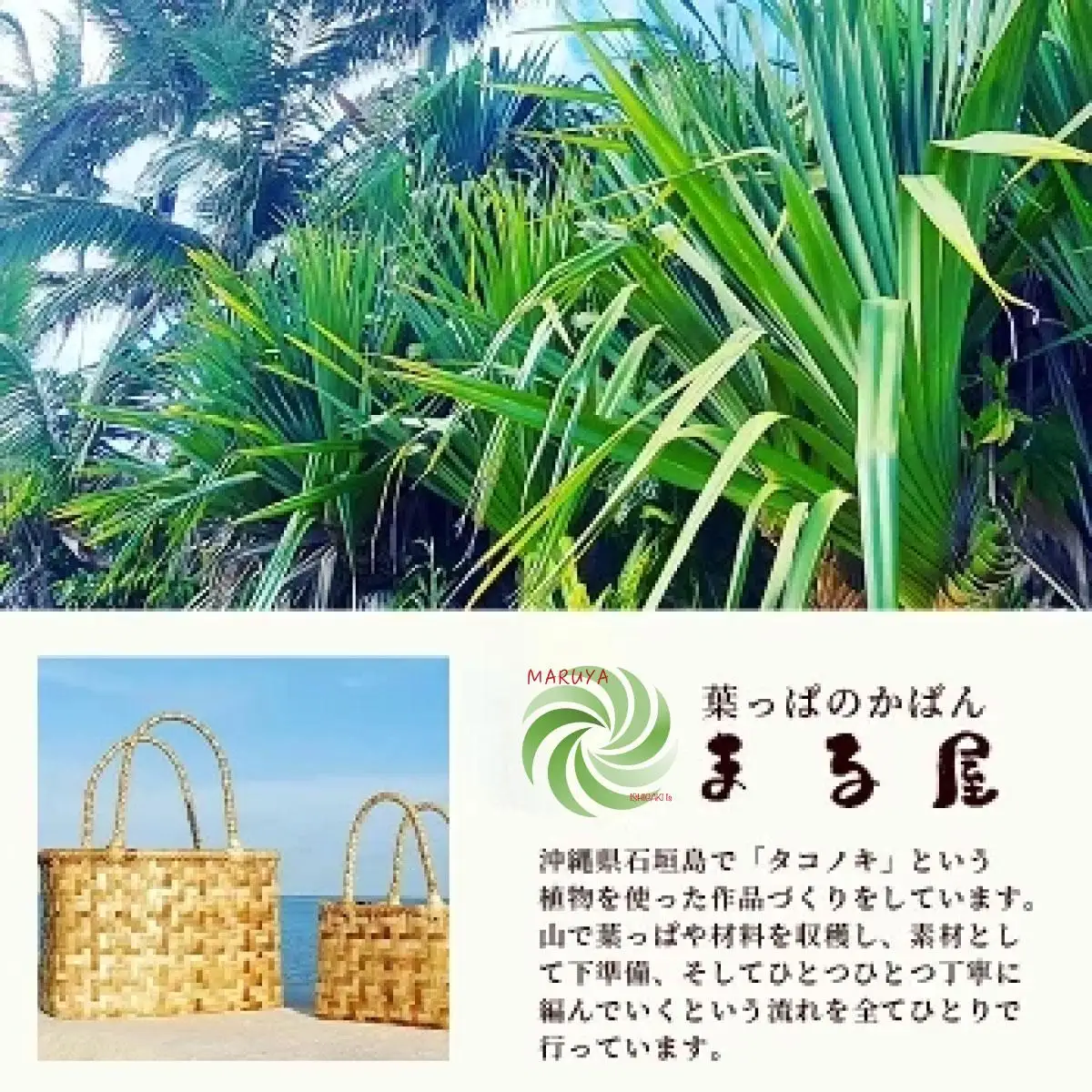アダン マース袋2個セット　 HM-6
