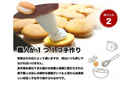 銘菓 田辺っ子（たなべっこ）12個入り×2箱 / 銘菓 お菓子 スイーツ 和菓子 個包装 小分け プレゼント ギフト ご家庭用 贈答 和歌山 バター クリーム お土産 お取り寄せ 田辺市【shd002-1】