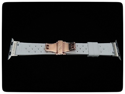CN-008_Apple Watch専用シルバー925製チャーム_sevenstone(Ruby)&ラバーバンド