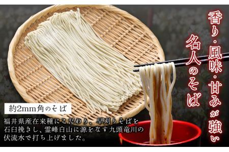 【12ヶ月連続お届け】名人の打つ越前おろしそば 4食入り（麺つゆ、辛味大根、かつお節付） [J-031006]