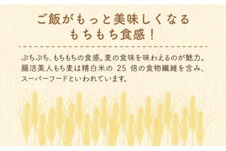 腸活美人 福井産六条大麦もち麦 5個セット [A-034003] 