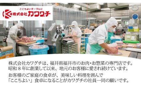 【お試し福袋】満腹1.0kg 黄金比率ハンバーグ4個 金賞メンチカツ4個 [A-015001] / ハンバーグ