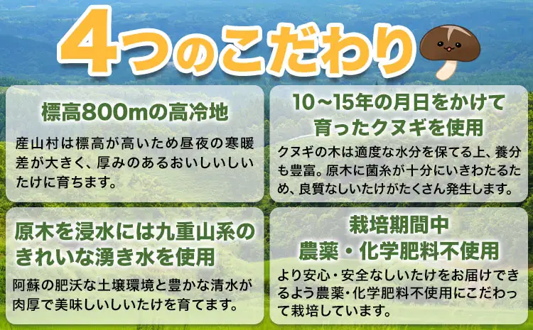 阿蘇・産山村産 原木生しいたけ 中玉800g(200g×4袋) 椎茸 しいたけ 生しいたけ しいたけのさかい《6月中旬-11月下旬頃出荷》原木生しいたけ 贈答 ギフト お中元 お歳暮 熊本 阿蘇 産山村 送料無料 