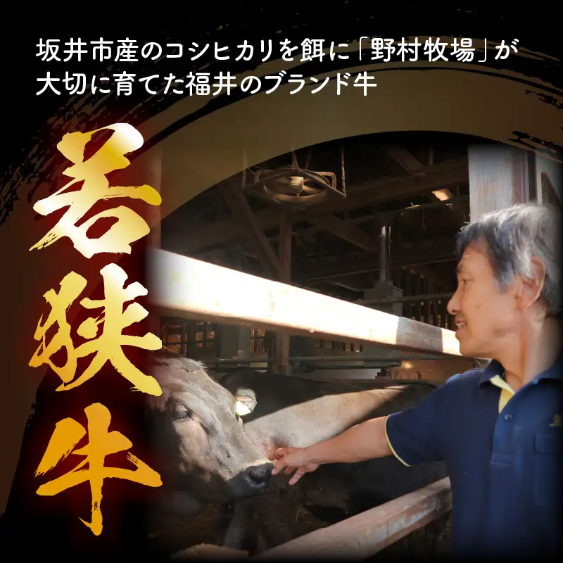 若狭牛ハンバーグ100g × 10個 ナカノ特製100％和牛の極旨品！！ 本格派ハンバーグ！ 【ハンバーグ 若狭牛 国産和牛 黒毛和牛 黒毛和種 ブランド牛 和牛 肉 牛 牛肉 坂井市 福井県産 国産 冷凍 人気】 [A-2007]