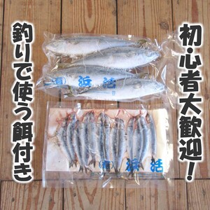 【釣り堀ハマカツ】1名釣り堀利用券(女性1名)【D0-043】