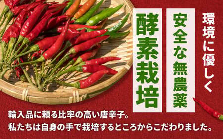 うまい唐がらし料理人の隠し味脇役セット 有限会社ヤマサン 滋賀県 東近江市 A-F11 一味唐辛子 料理の隠し味 脇役セット 唐辛子 ヤマサン 自社農園 厳選 粉末 山椒入り 柚子入り 香り 辛い 調味料 スパイス 薬味 激辛 滋賀県 東近江市