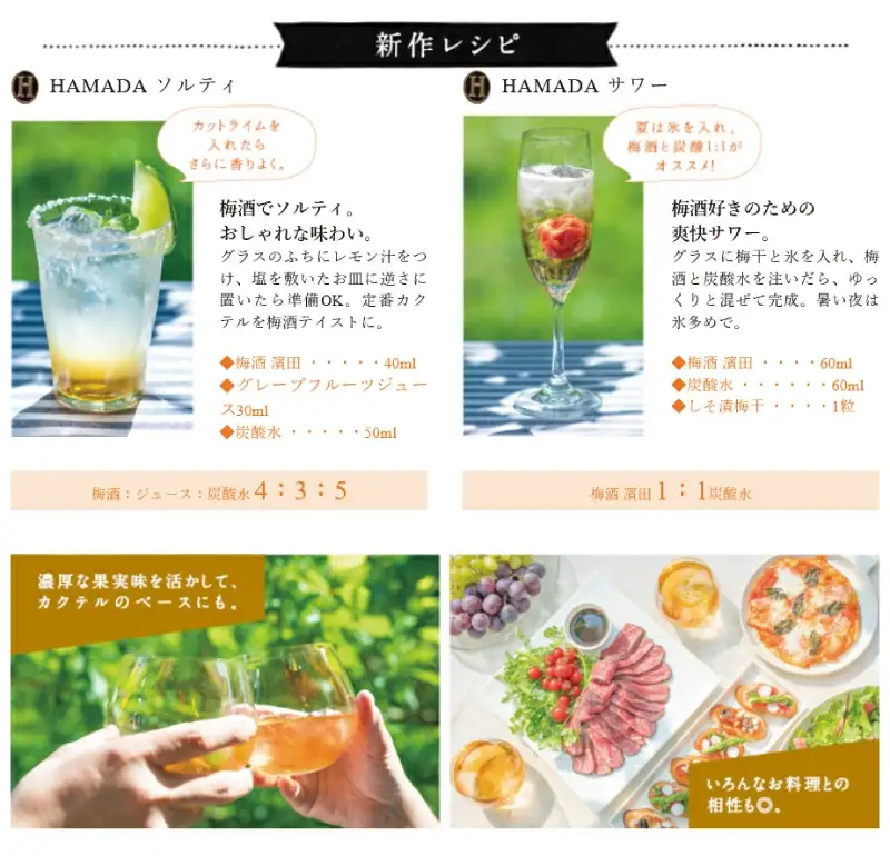【五年熟成】梅酒濱田 HAMADA　750ml  13度/ 田辺市 梅干し 梅干 梅 うめ 梅酒 酒 紀州産 完熟梅 南高梅 金箔【isg019-1】