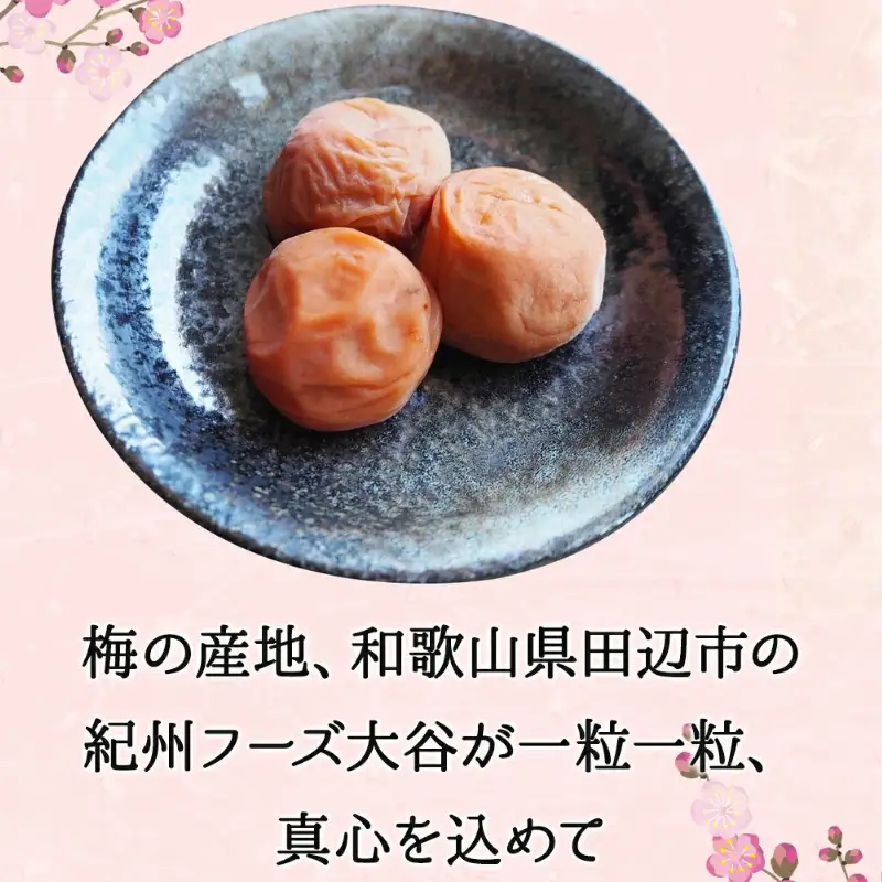 そのまんま白干梅 A級品 計1kg（250g×4個） / 梅干し 梅干 梅 和歌山 和歌山県産 田辺市 紀州南高梅 南高梅 白干し梅 無添加 しょっぱい梅干し 昔ながらの梅干し なつかしい A級【kfo007-1】
