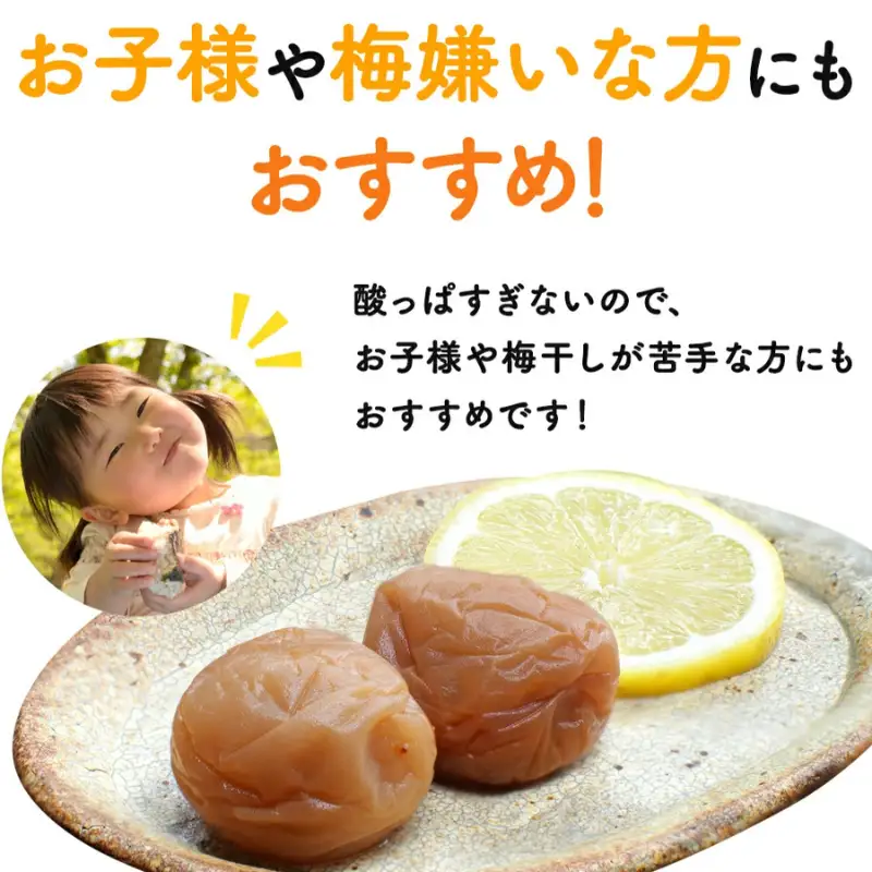 紀州南高梅 レモン梅（個包装）10個入り / はちみつ入り梅干し 和歌山 田辺市 南高梅 梅干し 梅干 梅 うめ 肉厚 お米 おにぎり 焼酎 梅酒 健康 はちみつ梅 レモン スイーツ 塩分補給【nkn001-1】