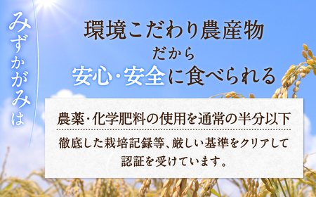 パックご飯 みずかがみ レトルトご飯 200g×36個 米 お米 簡単 白米 レンジ パックライス ごはんパック B02 JAグリーン近江 東近江 ご飯 ご飯パック パック レトルト