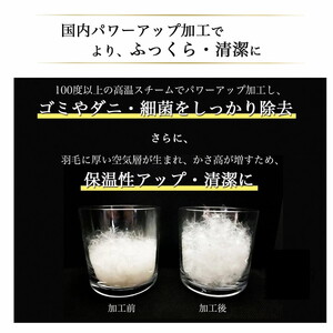 羽毛布団 柄お任せ ダブル ホワイトダウン85％ 訳あり 布団