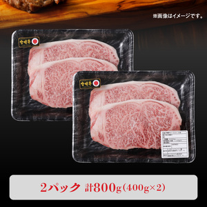 宮崎牛 サーロインステーキ800g N0140-YC716
