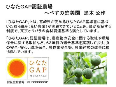 【期間限定発送】 へべす ひなたGAP認定 ふぞろい 5kg [へべすの悠美園 宮崎県 日向市 452060724]