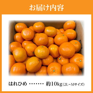 希少な柑橘「はれひめ」約10kg