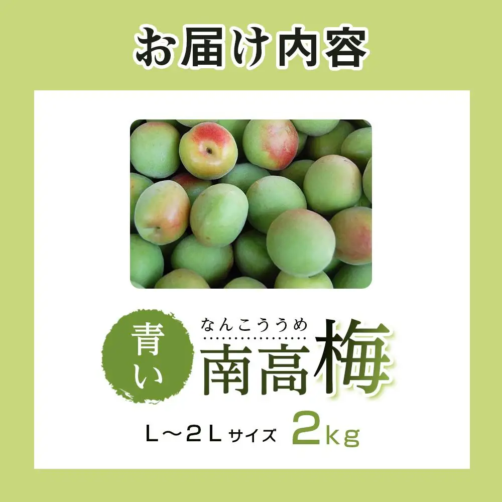 青い南高梅 2kg  L〜2L寸 紀州特産 梅酒 梅ジュースに最適！ 【先行予約：2026年6月1日以降順次発送】