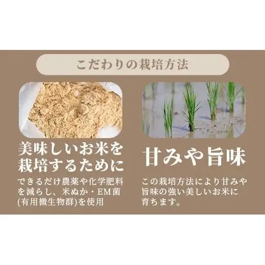【定期便６回】6ヶ月連続お届け 石垣島産 星の美しゃ（ほしのかいしゃ）30kg（5kg×6回）MK-7
