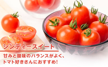 ミディアムトマト 3kg（1.5kg×2箱）《壱岐市》【ISLAND FARM】[JFL002]