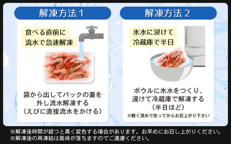 鮮度抜群！越前町産 甘えび 250g × 2Pセット 小分け パックで食べやすい！【えび エビ 海老 刺身 海鮮 海産物 魚貝類 魚介類 新鮮 冷凍 】 [e04-a098]