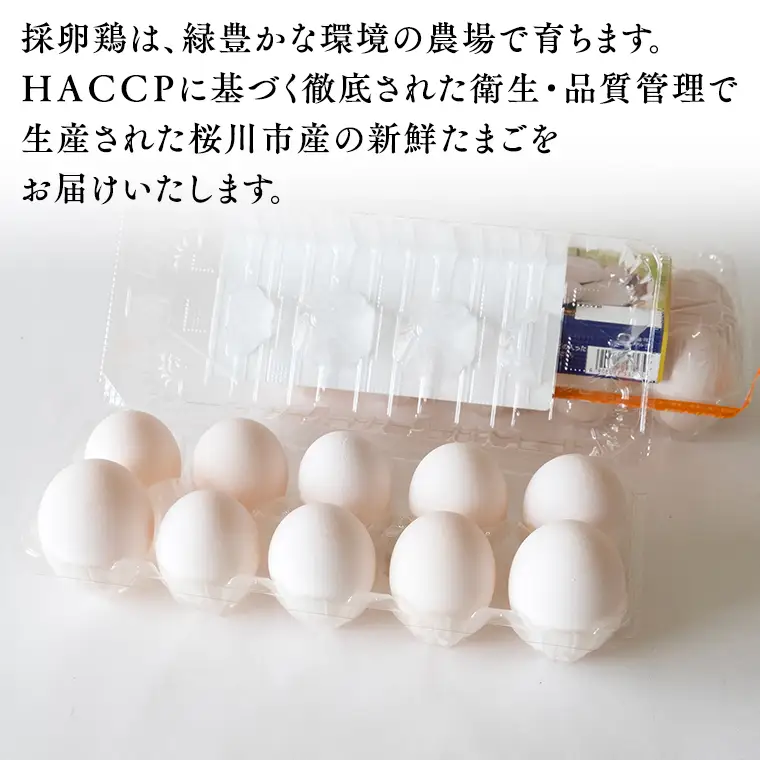 【3ヵ月定期便】雪平養鶏場 桜川育ちの 新鮮 たまご 合計90個 （20個＋10個割れ補償付)×3回  数量限定 卵 定期便 茨城県 桜川市 [SC033sa]