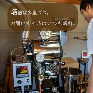 【スペシャルティコーヒー】マスターセレクトセット 160g×2種類 | コーヒー コーヒー コーヒー コーヒー コーヒー コーヒー 【KYW0021】